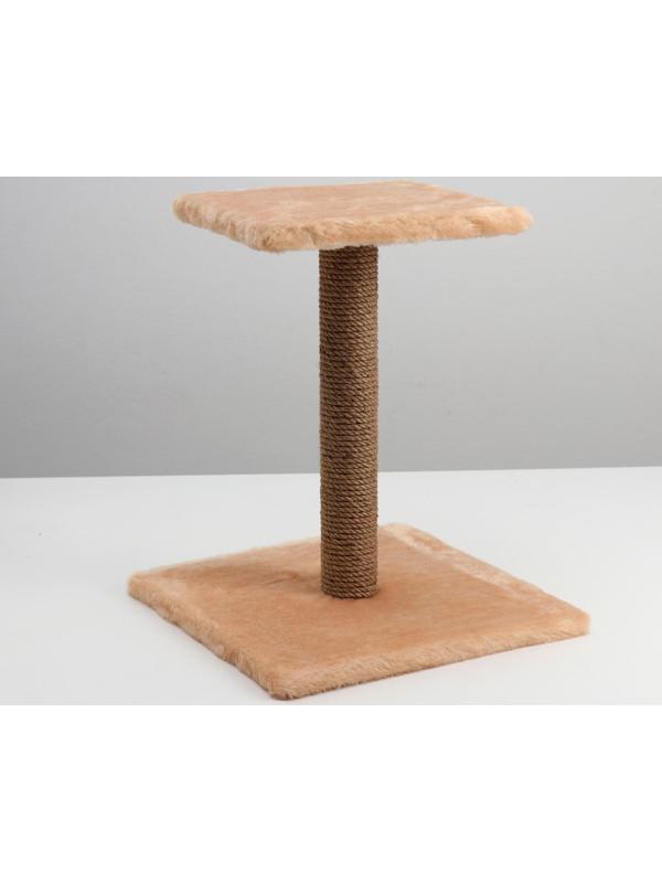 Когтеточка 