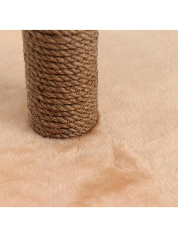 Когтеточка 