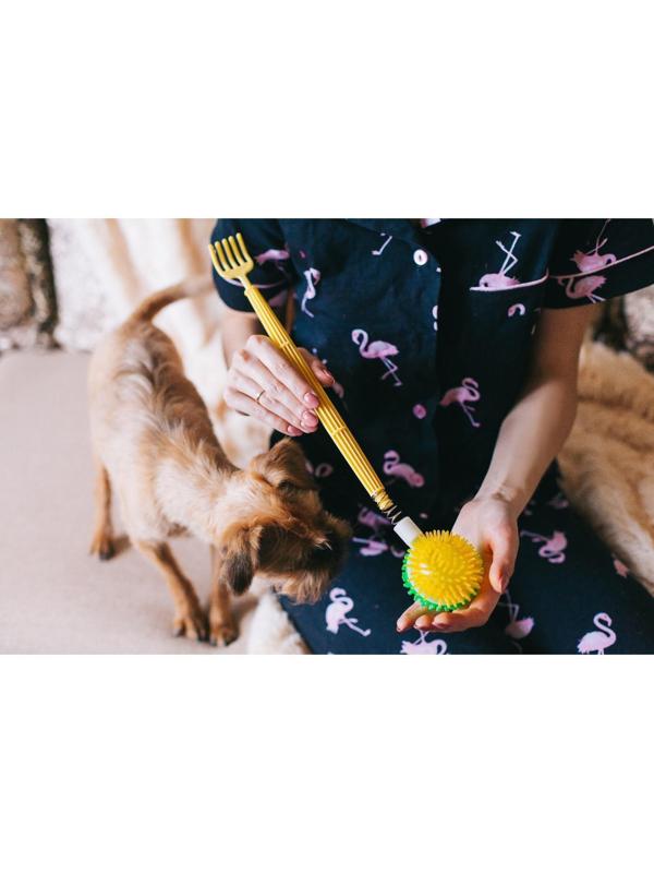 Массажёр - чесалка «Мячик», двусторонний, цвет МИКС