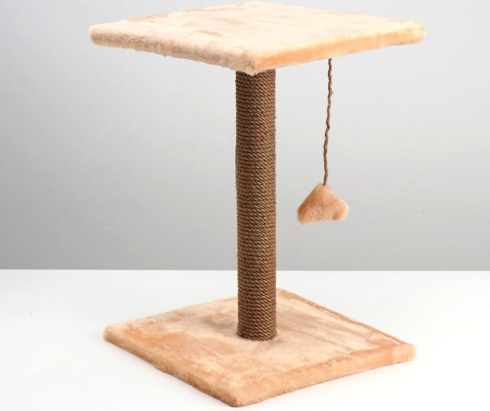 Когтеточка 