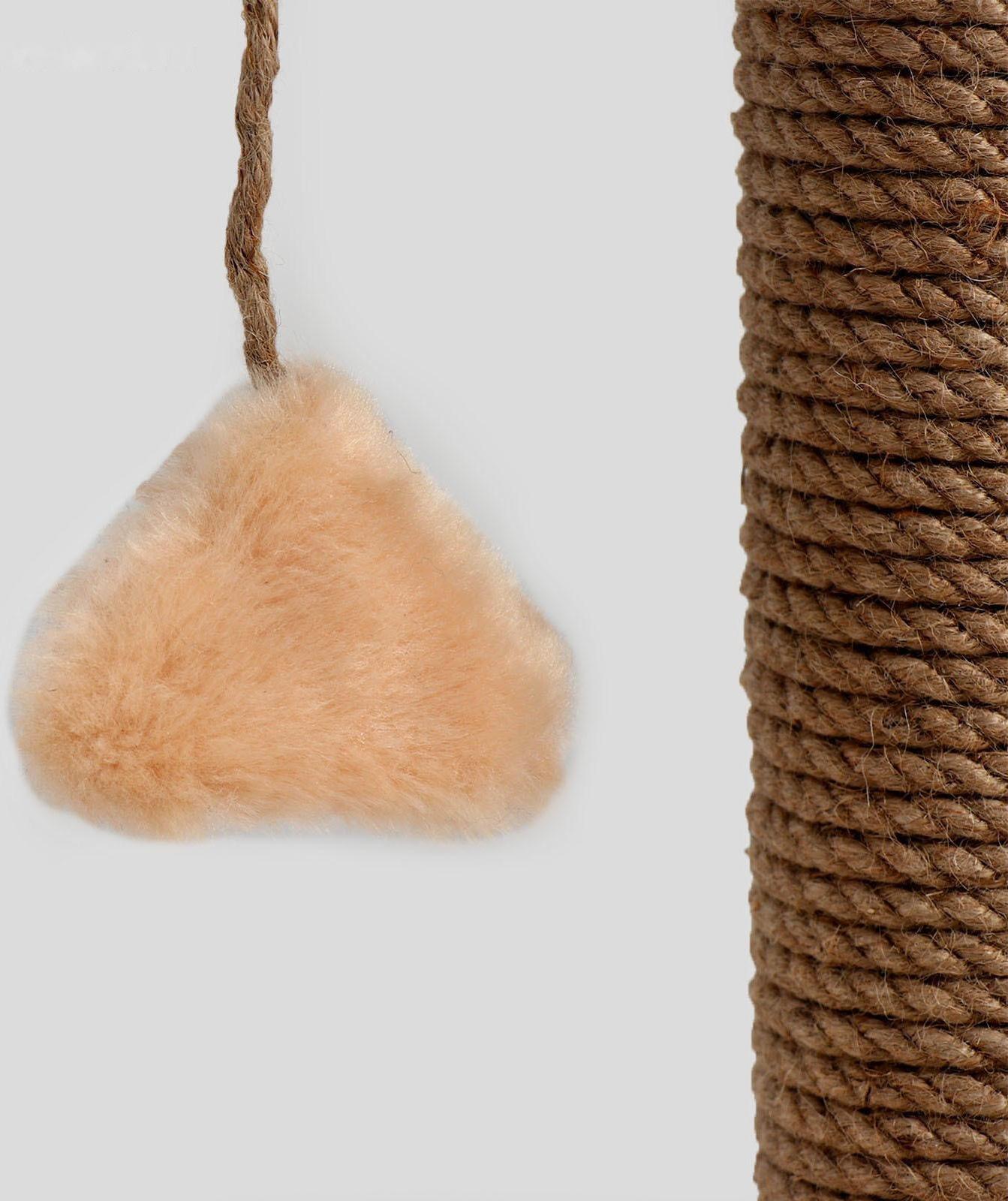 Когтеточка 