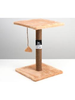 Когтеточка 