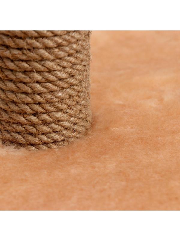 Когтеточка 