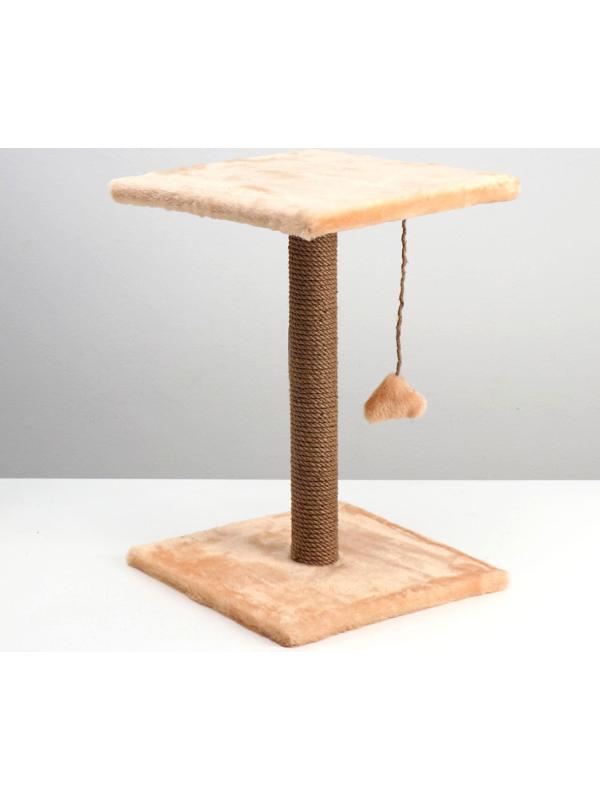 Когтеточка 