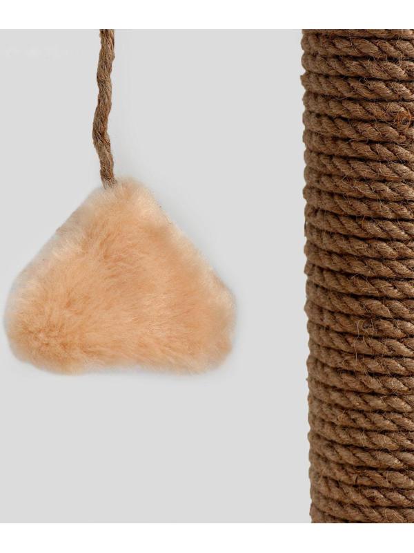 Когтеточка 