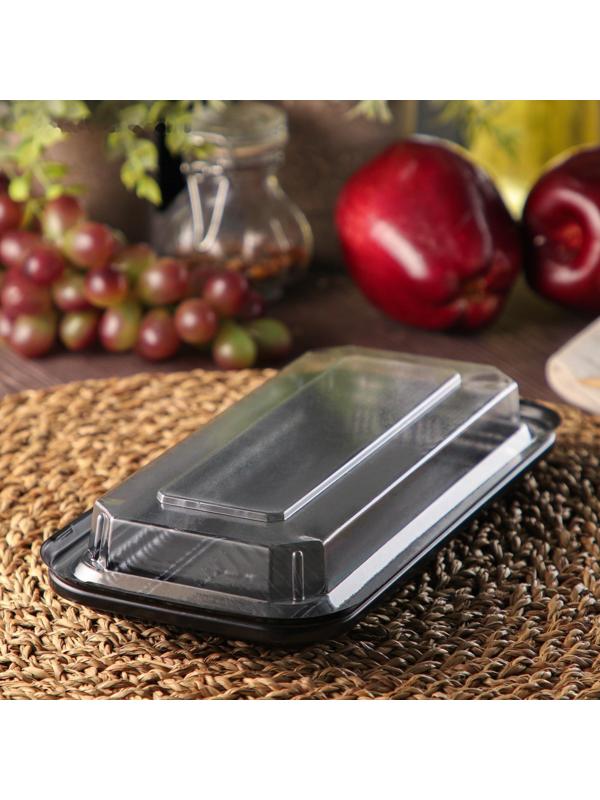 Контейнер с крышкой одноразовый, 24×12×4 см, 750 мл, цвет чёрный