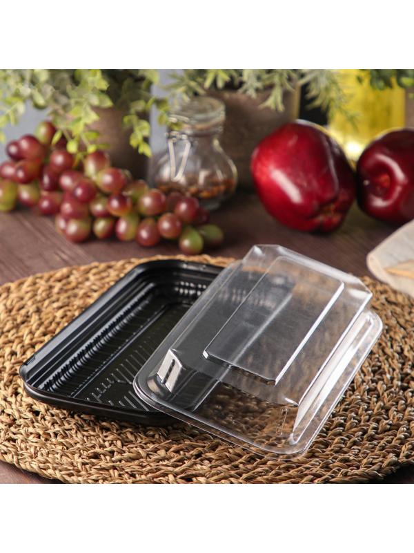 Контейнер с крышкой одноразовый, 24×12×4 см, 750 мл, цвет чёрный