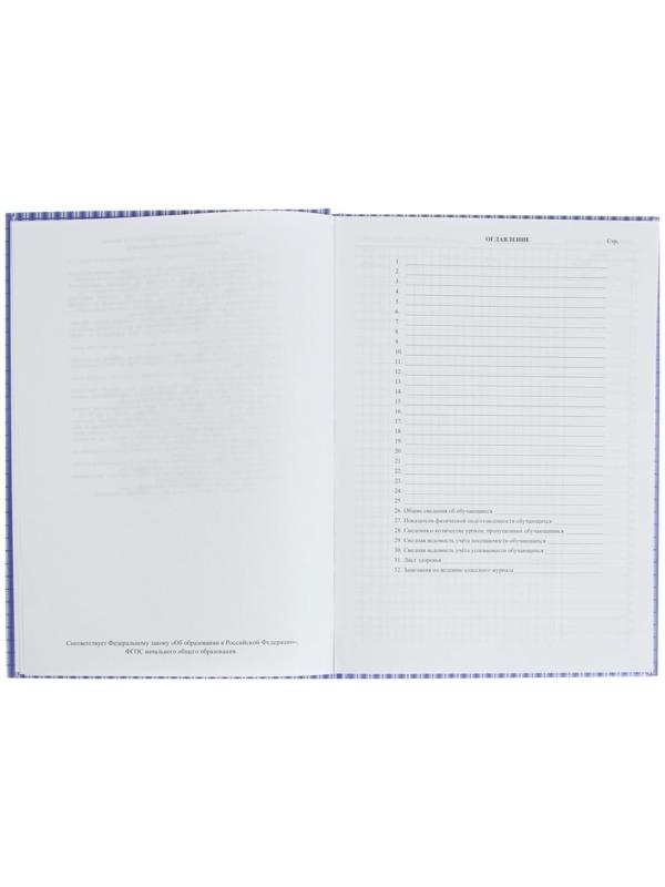 Классный журнал для 1-4 классов А4, 128 страниц, твердая ламинированная обложка, блок офсет 65г/м2