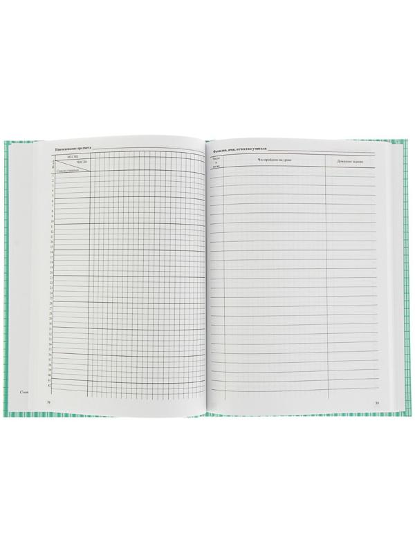 Классный журнал для 10-11 классов А4, 184 страницы, твердая ламинированная обложка, блок офсет 65г/м2