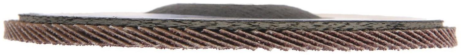 Круг лепестковый торцевой ТУНДРА, 150 х 22 мм, Р80