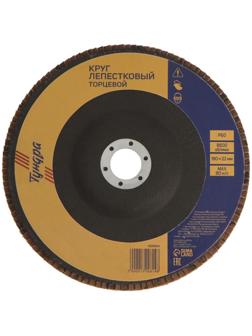 Круг лепестковый торцевой ТУНДРА, 180 х 22 мм, Р60