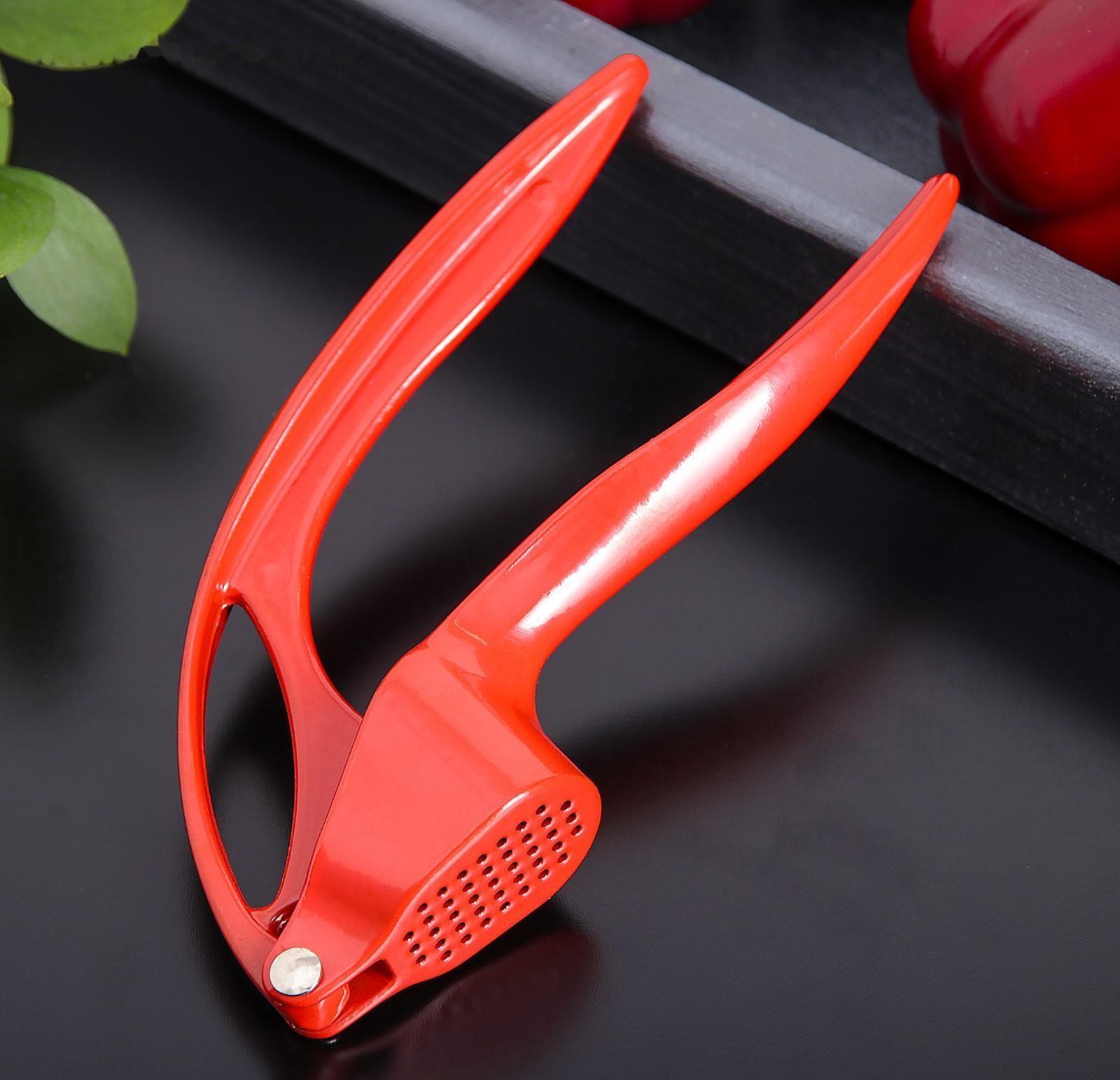 Пресс для чеснока Доляна «Краски», 16 см, цвет МИКС