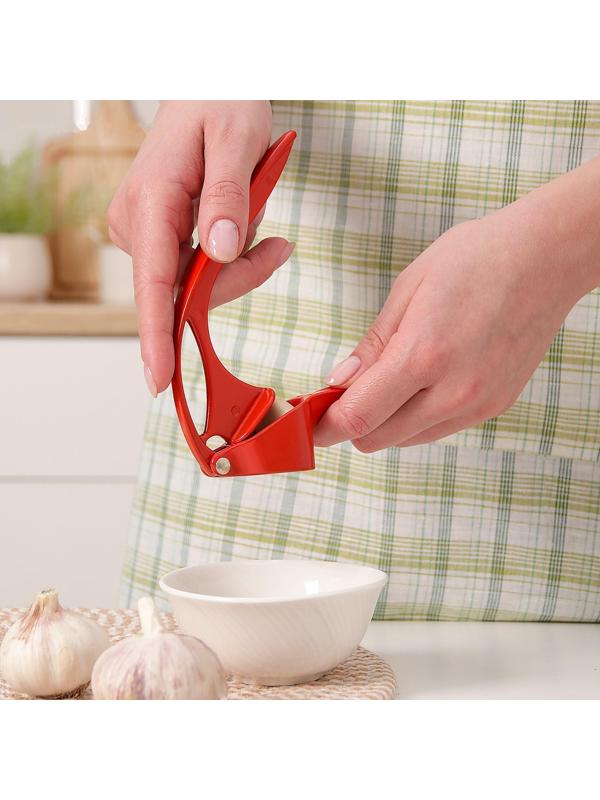 Пресс для чеснока Доляна «Краски», 16 см, цвет МИКС