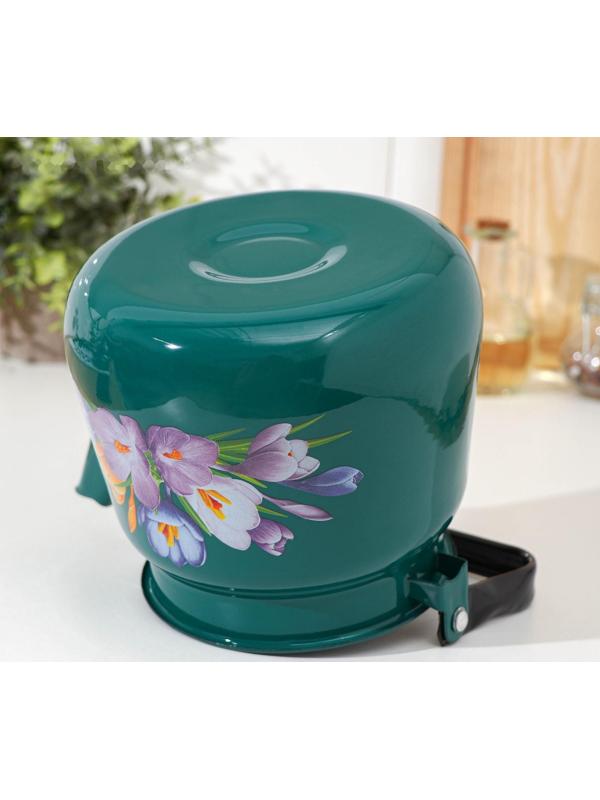 Чайник, 3,5 л, с декором МИКС, индукция, цвет бирюзовый