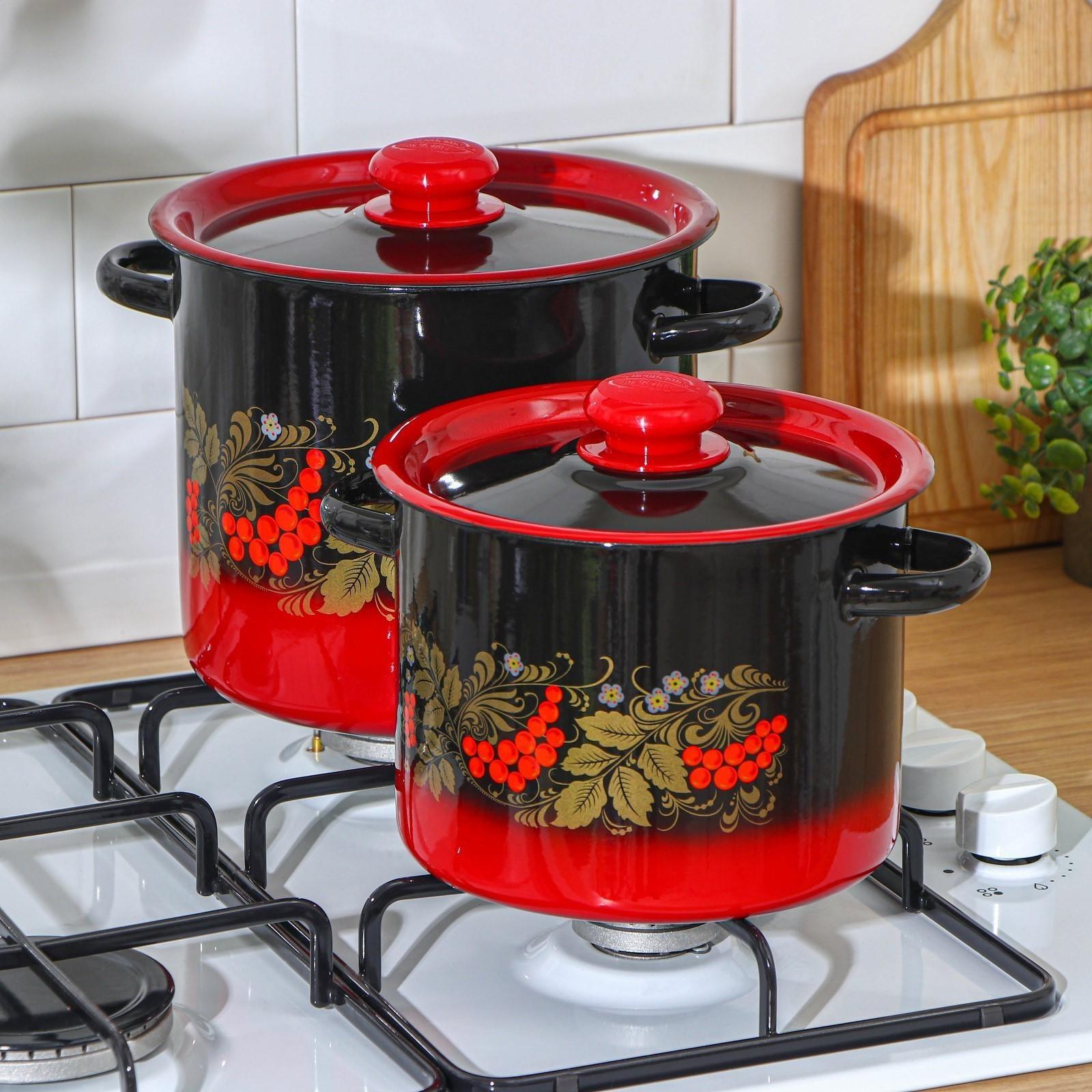 Набор кастрюль «Рябинка», 2 предмета: 3,5 л, 5,5 л, эмалированные крышки, индукция