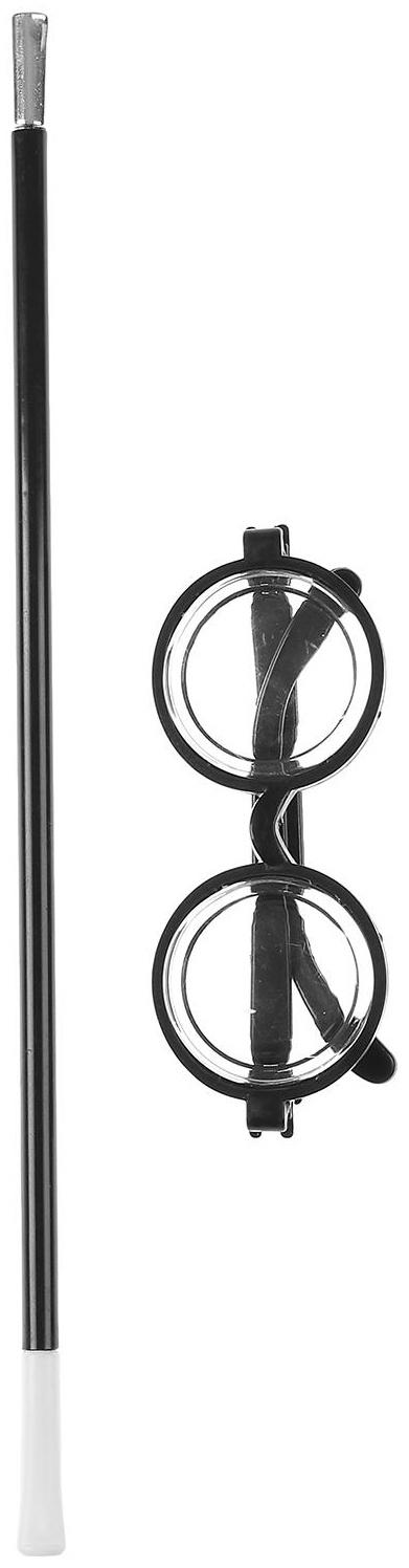 Карнавальный набор, 2 предмета: мундштук, очки