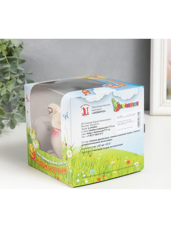 Растущая травка Экоживчик 