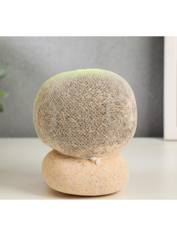 Растущая травка Экоживчик 