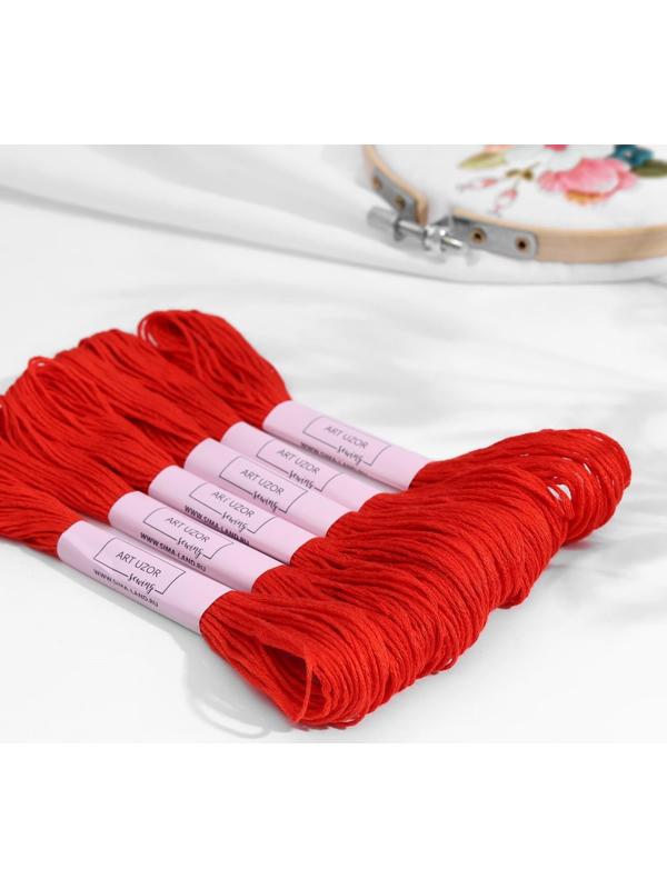 Нитки мулине, 8 ± 1 м, цвет тёмно-морковный №900