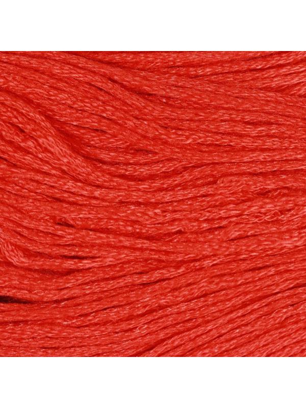 Нитки мулине, 8 ± 1 м, цвет тёмно-морковный №900