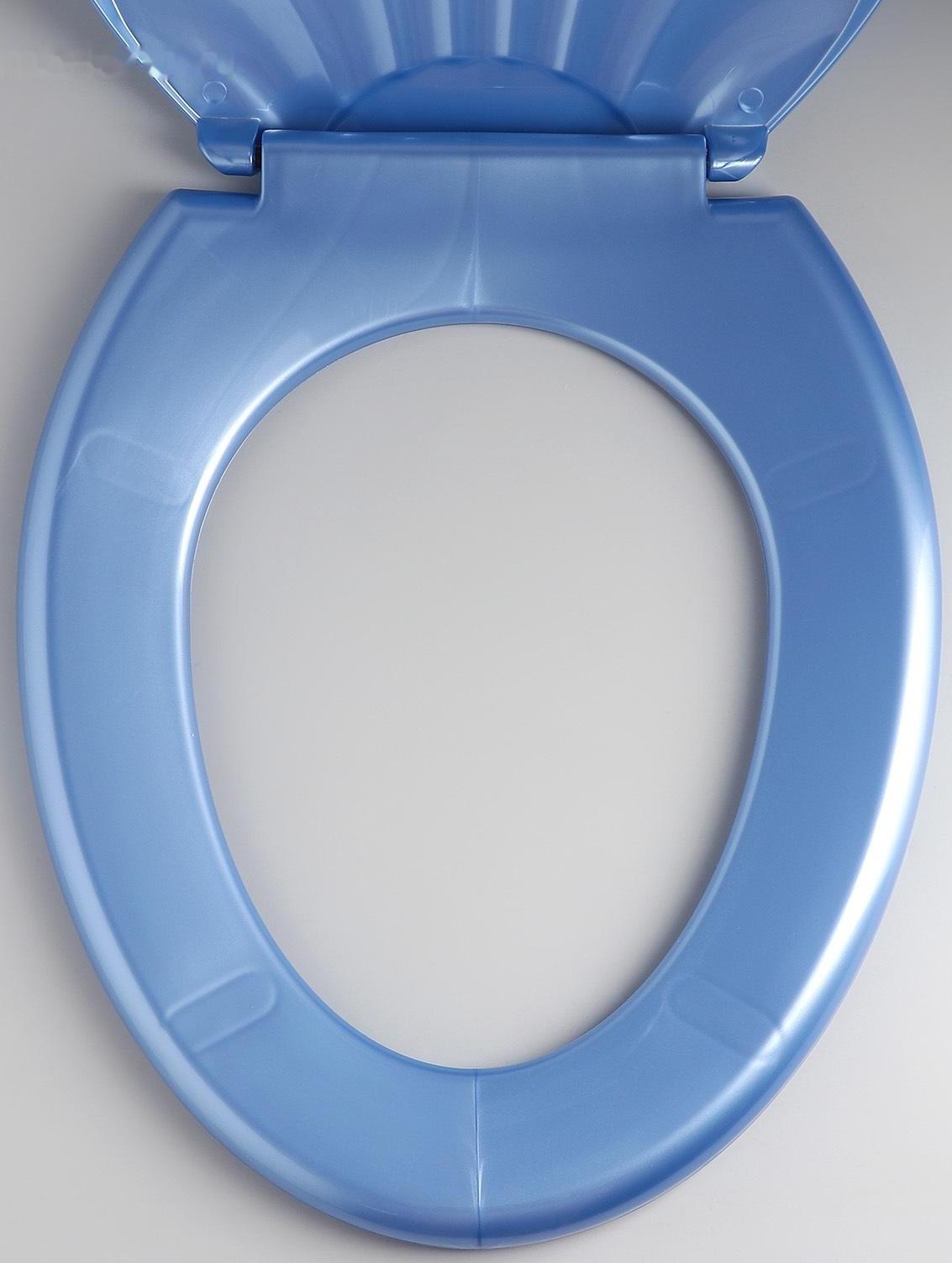 Сиденье для унитаза с крышкой «Ракушка», 44,5×37 см, цвет голубой перламутр