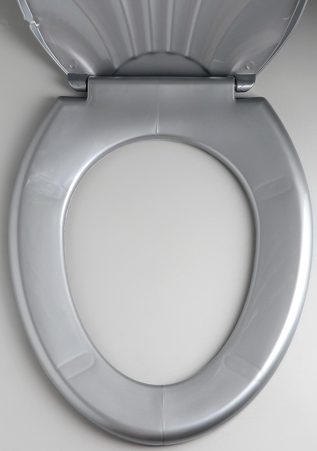 Сиденье для унитаза с крышкой «Ракушка», 44,5×37 см, цвет серебристый перламутр