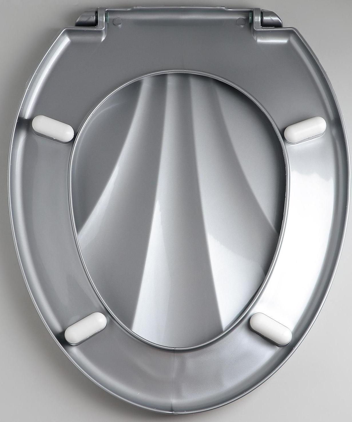 Сиденье для унитаза с крышкой «Ракушка», 44,5×37 см, цвет серебристый перламутр