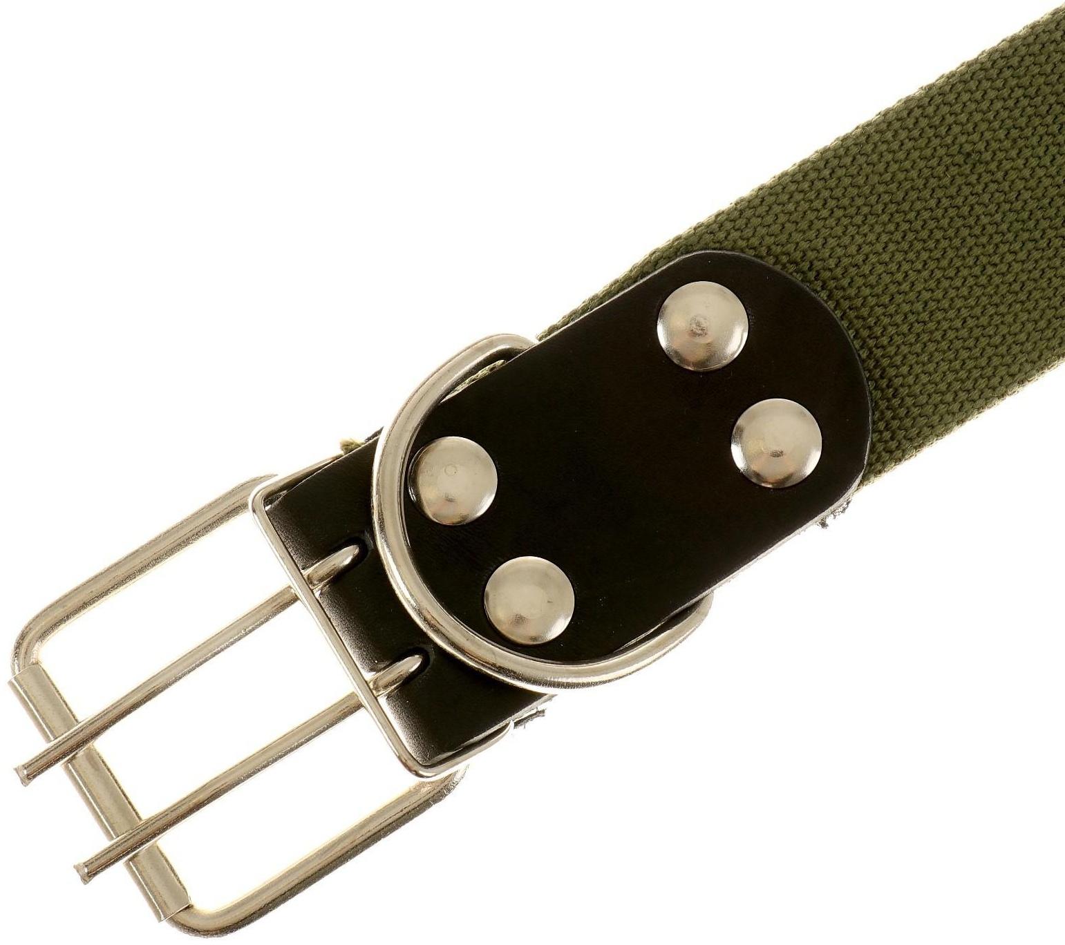 Ошейник брезентовый однослойный, 84 х 4.5 см, ОШ 50-70 см, хаки