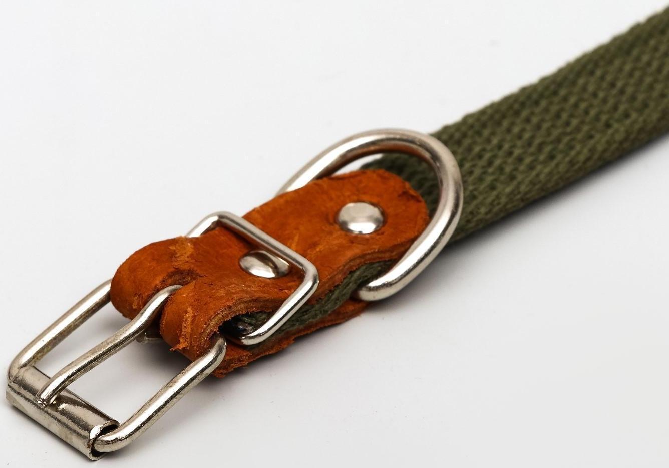 Ошейник брезентовый однослойный, 50 х 2 см, ОШ 25-35 см, хаки