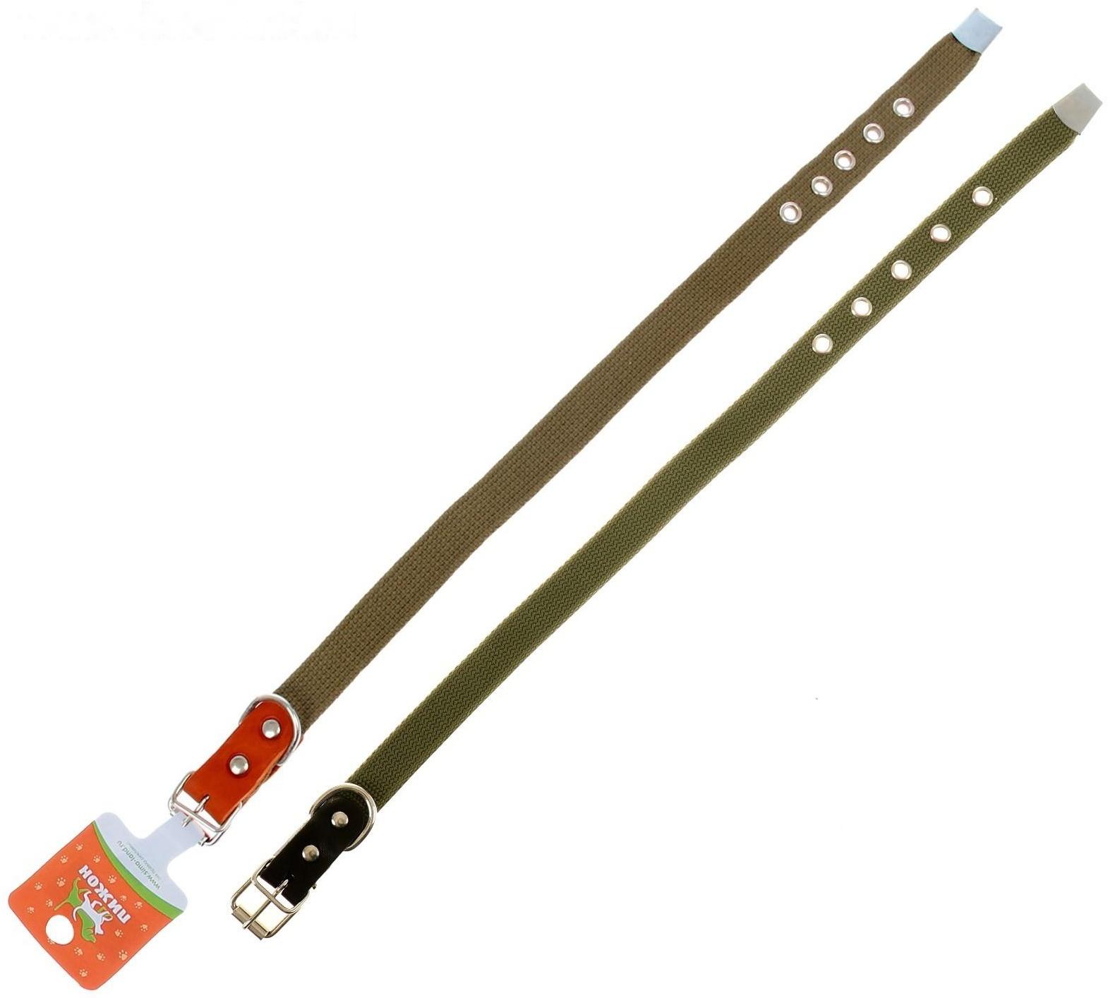 Ошейник брезентовый однослойный, 50 х 2 см, ОШ 25-35 см, хаки