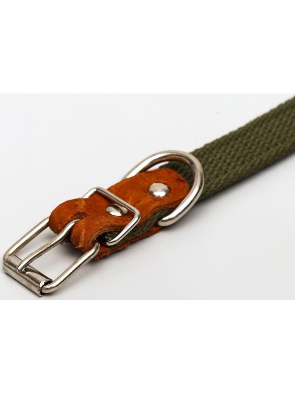 Ошейник брезентовый однослойный, 50 х 2 см, ОШ 25-35 см, хаки
