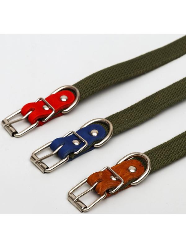 Ошейник брезентовый однослойный, 50 х 2 см, ОШ 25-35 см, хаки