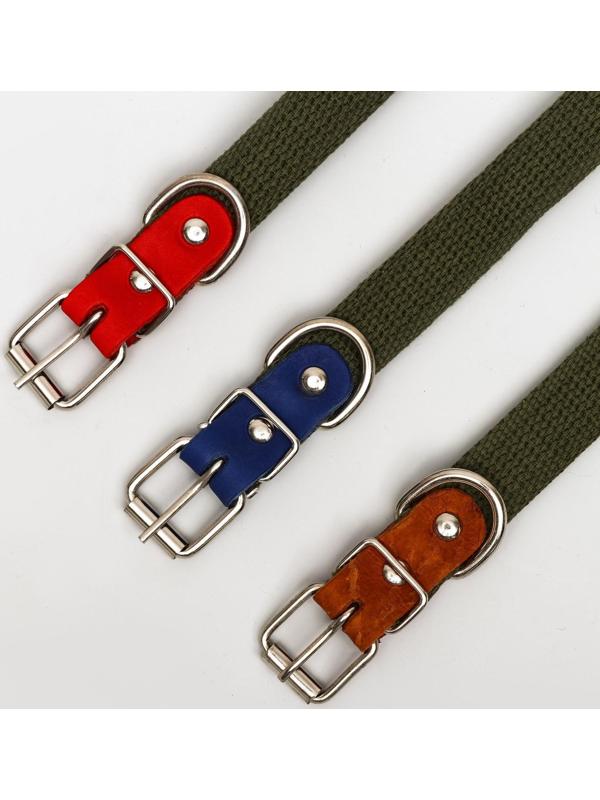 Ошейник брезентовый однослойный, 50 х 2 см, ОШ 25-35 см, хаки