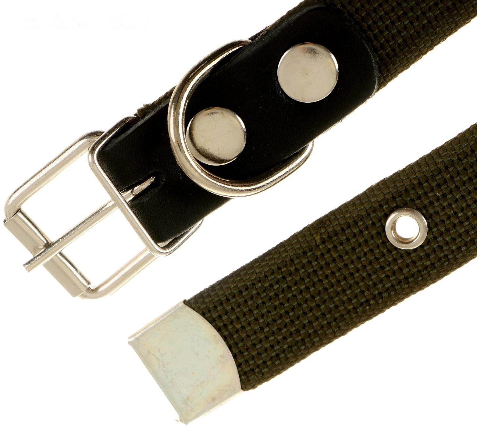 Ошейник брезентовый однослойный, 57 х 2,5 см, ОШ 35-45 см, хаки