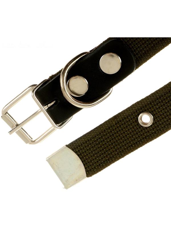 Ошейник брезентовый однослойный, 57 х 2,5 см, ОШ 35-45 см, хаки