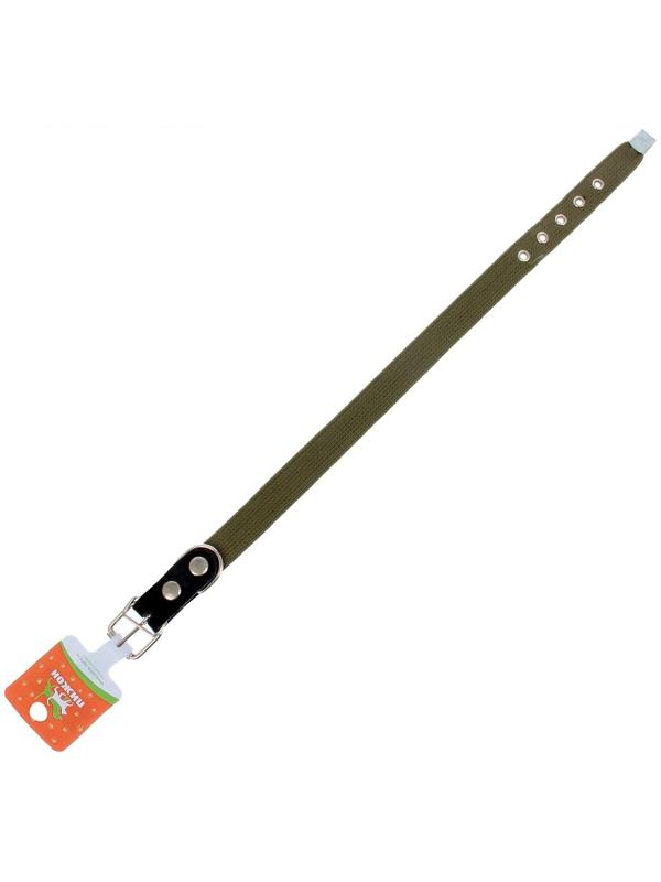 Ошейник брезентовый однослойный, 57 х 2,5 см, ОШ 35-45 см, хаки