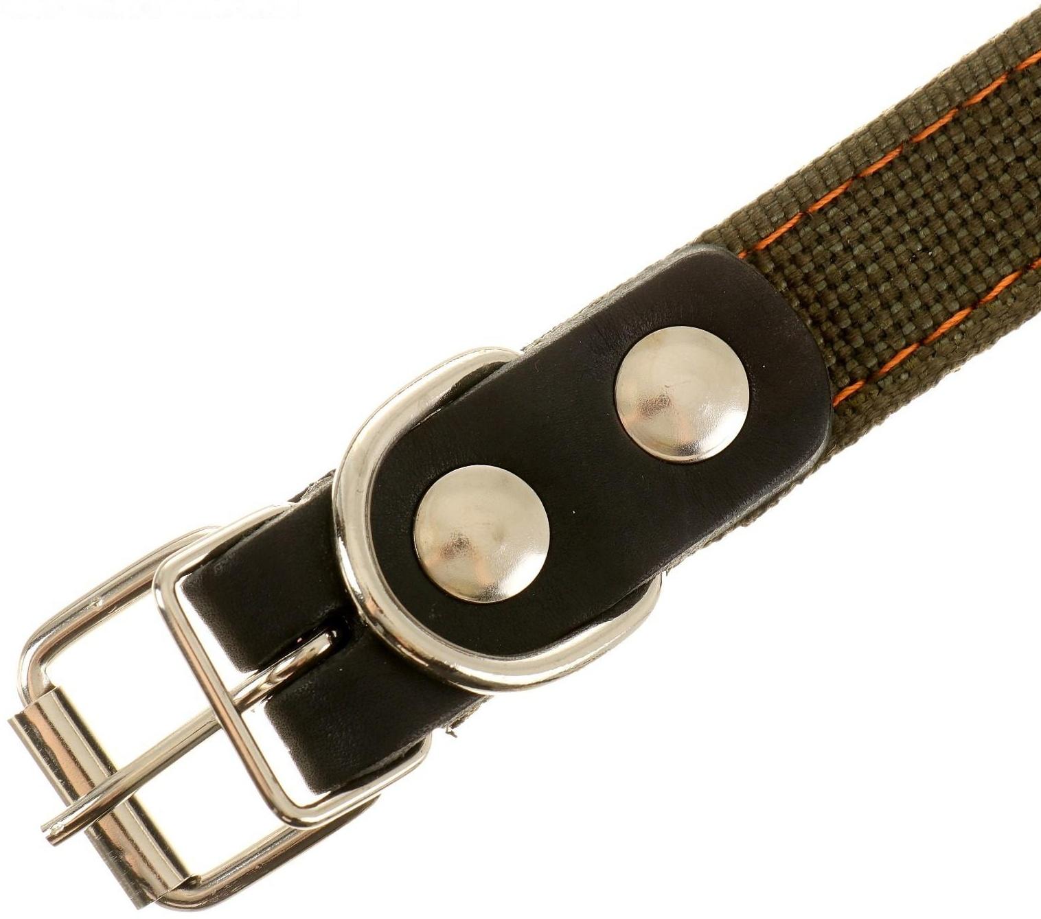 Ошейник брезентовый двухслойный, 54 х 2,5 см, ОШ 35-45 см, хаки