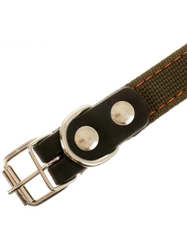 Ошейник брезентовый двухслойный, 54 х 2,5 см, ОШ 35-45 см, хаки