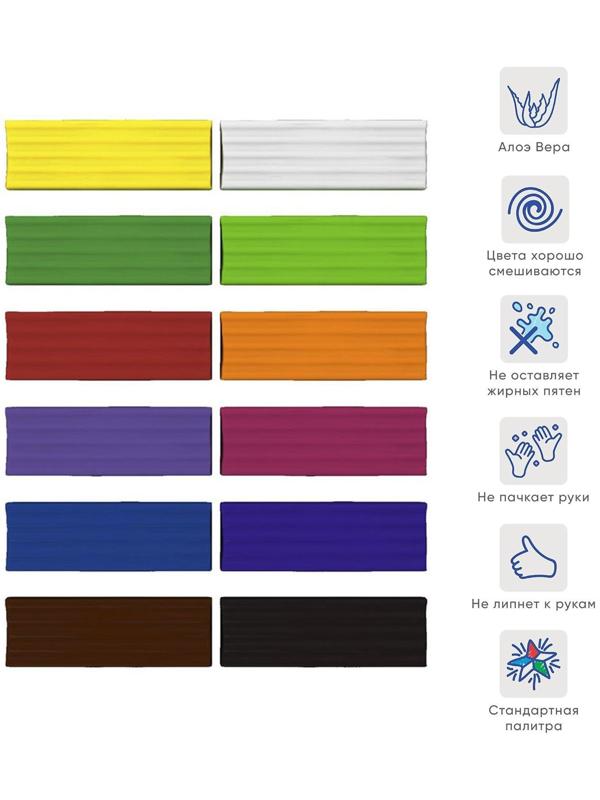 Пластилин 12 цветов, 216 г, ErichKrause, с алоэ вера, со стеком, индивидуальная упаковка брусков, в картонной упаковке