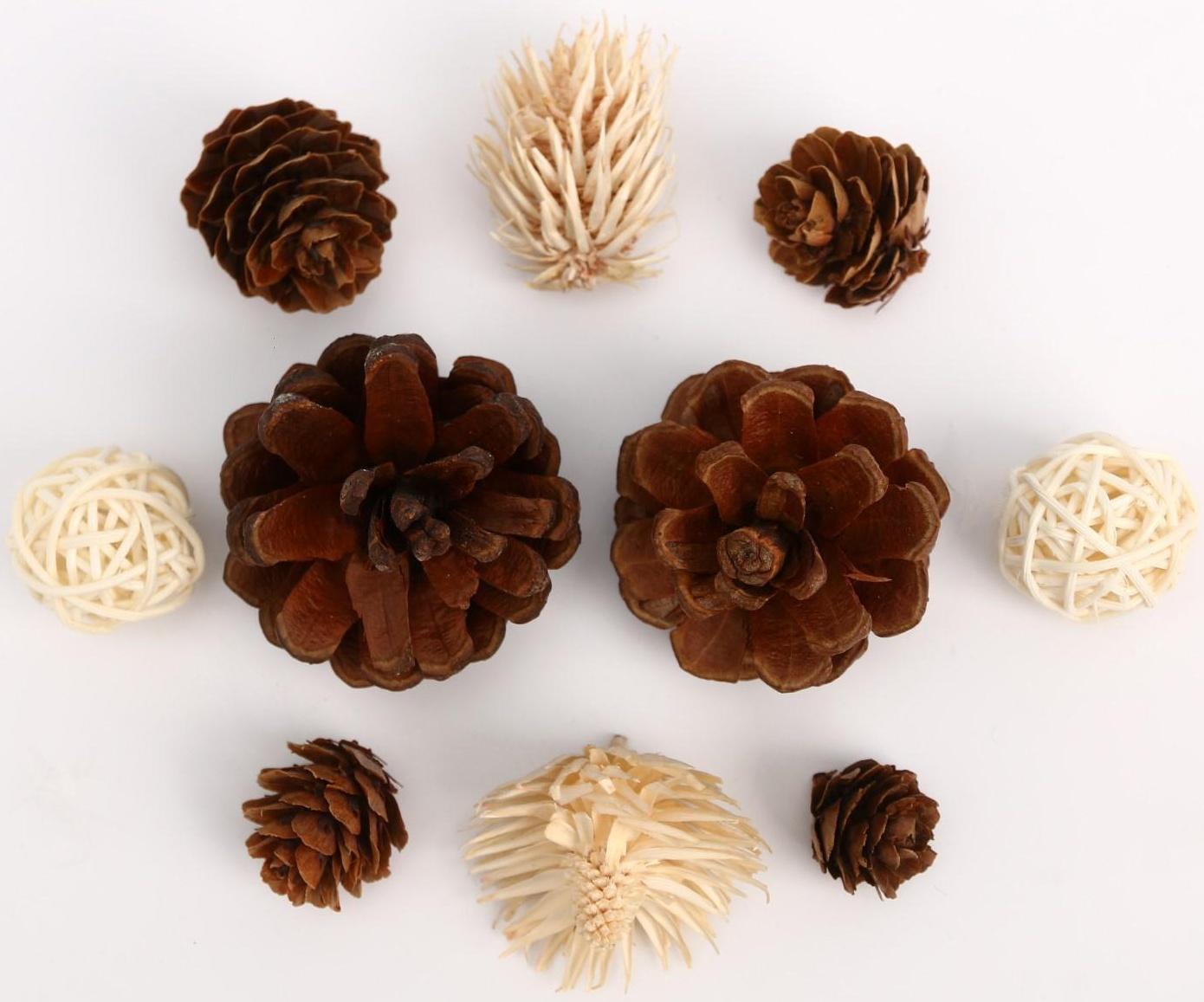 Набор природного декора «Кладовая солнца»,