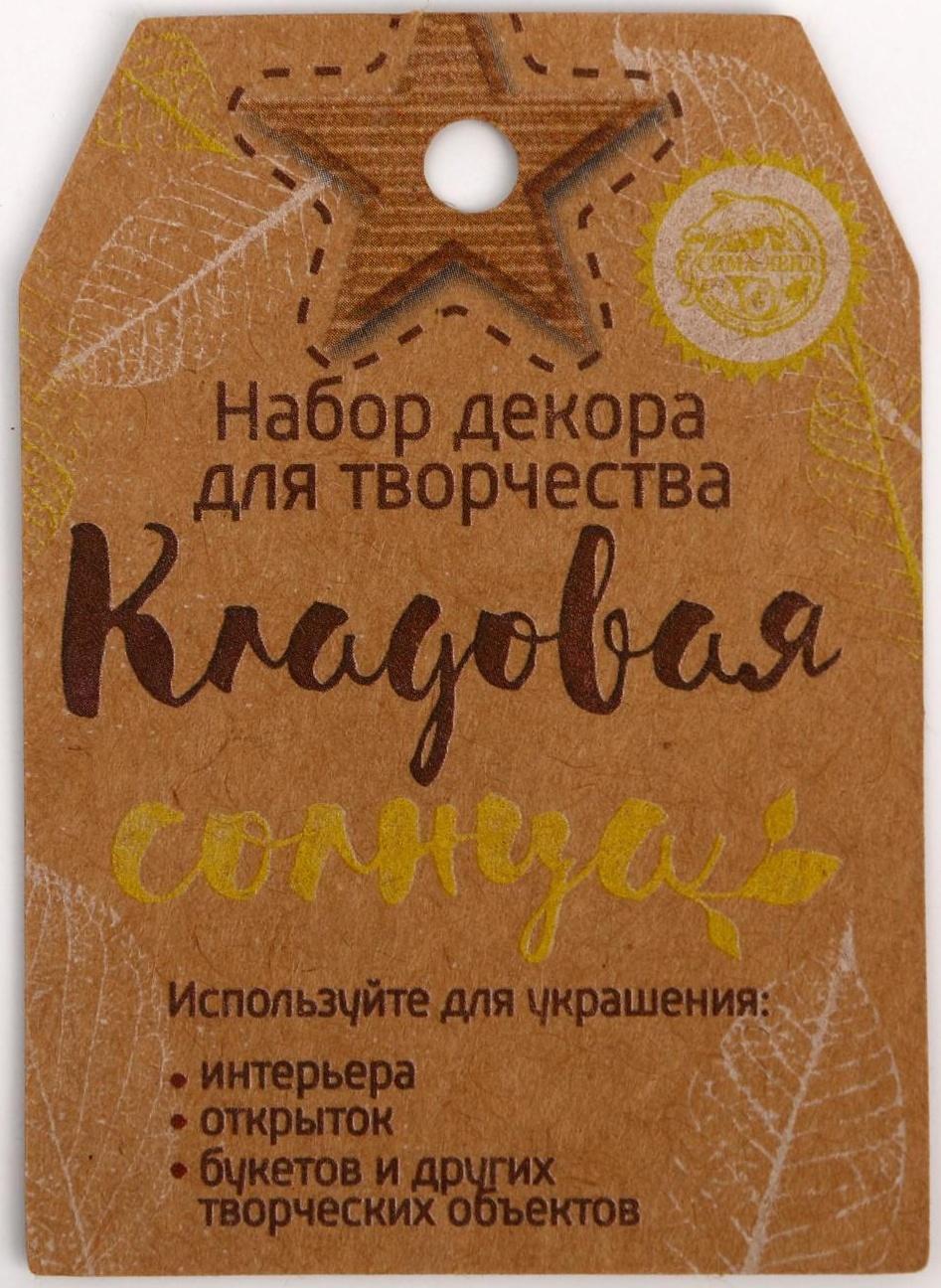 Набор природного декора «Кладовая солнца»,