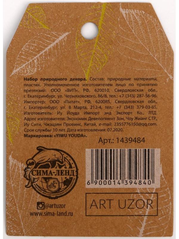 Набор природного декора «Кладовая солнца»,