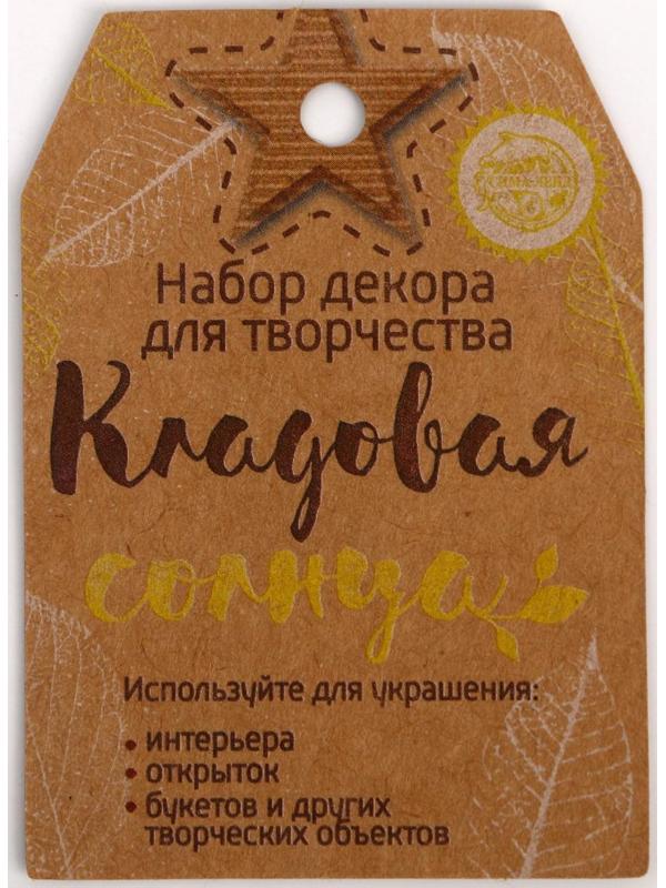 Набор природного декора «Кладовая солнца»,