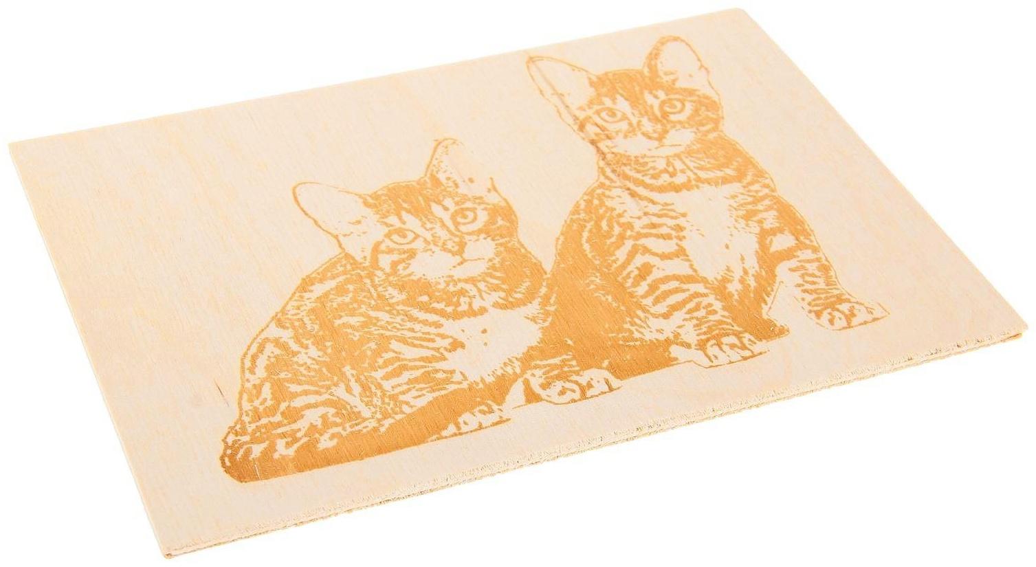 Доски для выжигания, уровень сложности 