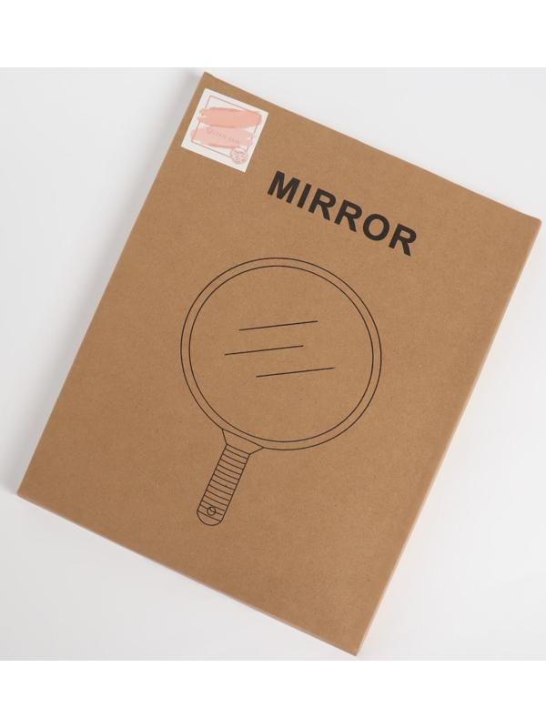 Зеркало с ручкой, d зеркальной поверхности 24,5 см, цвет чёрный