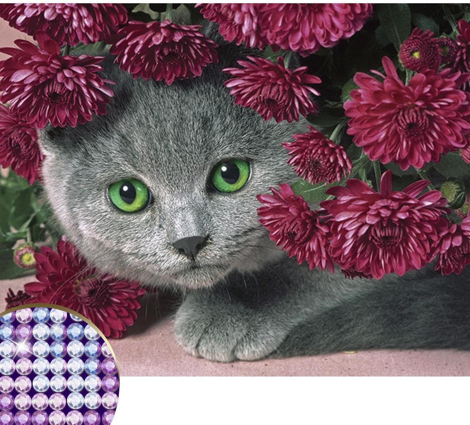 Алмазная мозаика с частичным заполнением «Котёнок», 40 х 30 см. Набор для творчества