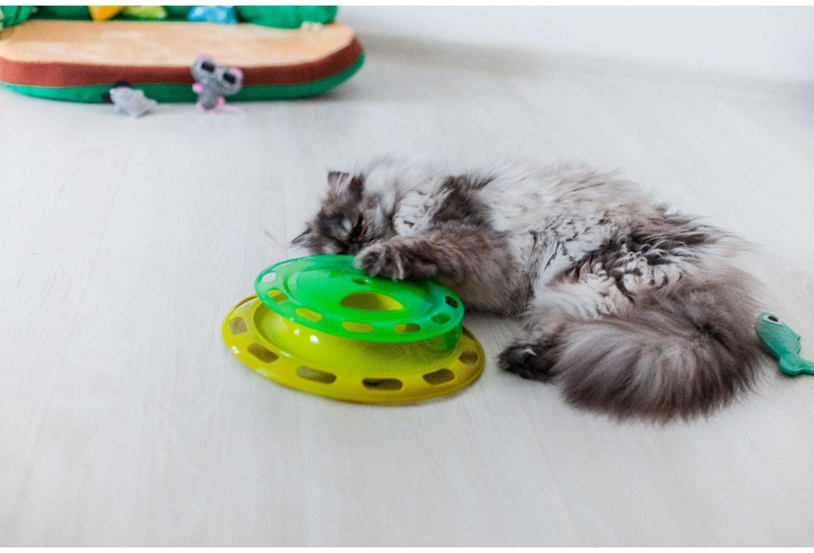 Игровой комплекс для кошек с отсеками для корма и шариком (картоная коробка), микс