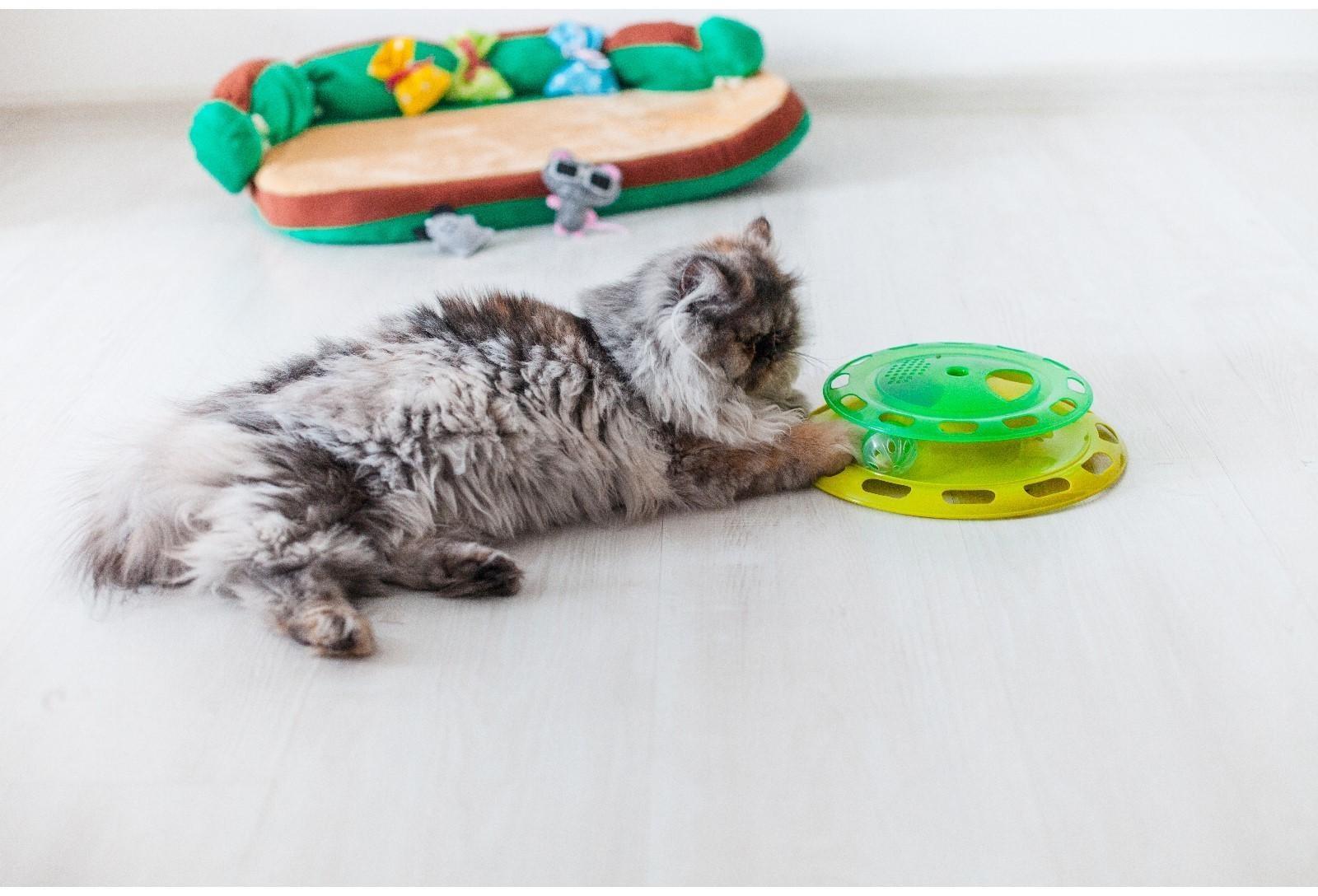 Игровой комплекс для кошек с отсеками для корма и шариком (картоная коробка), микс