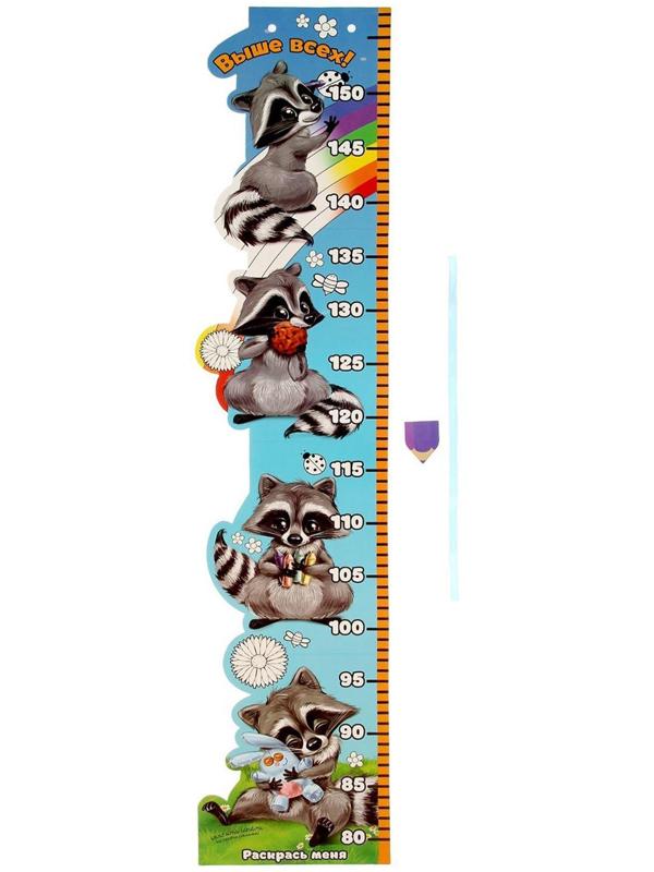 Ростомер фигурный с передвижным элементом на магните 