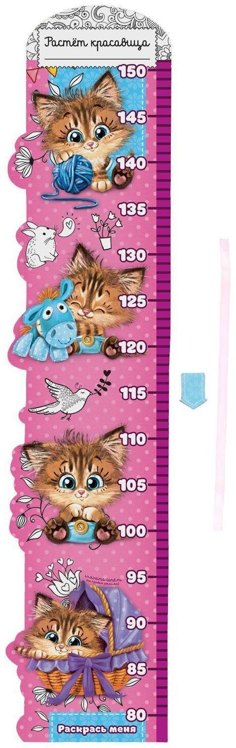 Ростомер фигурный с передвижным элементом на магните 